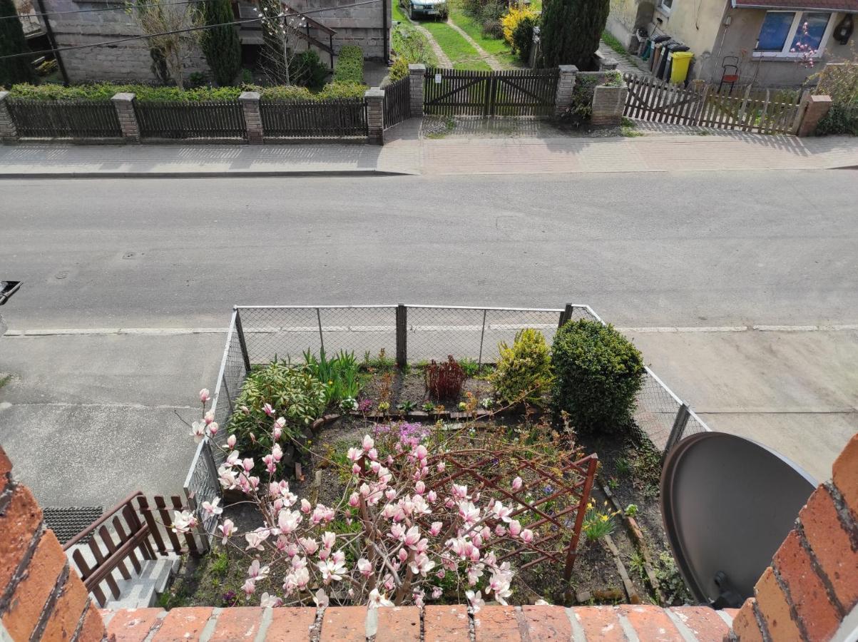 Apartament Pod Jalowcem Gory Sowie 533-543-732 Jedlina-Zdroj Buitenkant foto