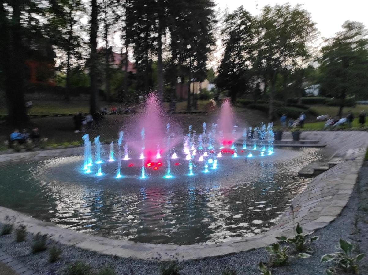 Apartament Pod Jalowcem Gory Sowie 533-543-732 Jedlina-Zdroj Buitenkant foto